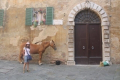 palio 16 agosto 2018 lupa (2)