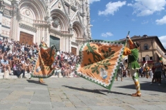 palio 16 agosto 2018 lupa (21)