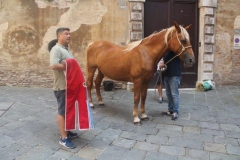palio 16 agosto 2018 lupa (3)