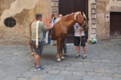 palio 16 agosto 2018 lupa (5)