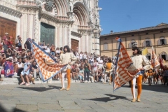 palio 16 agosto 2018 lupa (62)