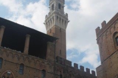 palio 16 agosto 2018 lupa (84)