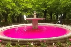 radda in chianti tappa giro d\'italia 15 maggio 2016 (13)
