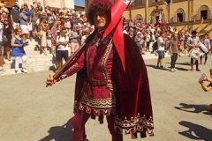 comparsa contrada della torre (2)