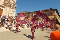 comparsa contrada della torre (4)