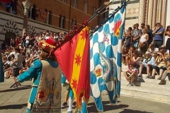 comparsa contrada dell'onda (3)