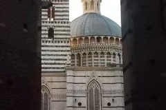 duomo di siena (2)