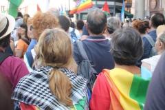 manifestazione-gaza-a-roma-7-giugno-13