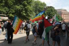 manifestazione-gaza-a-roma-7-giugno-2
