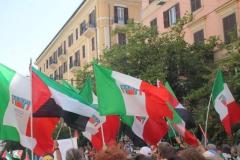 manifestazione-gaza-a-roma-7-giugno-20