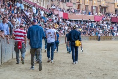 RBX_18-08-26_h19-22_0032-1800x1200
