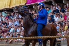 RBX_18-08-26_h19-31_0047-1800x1200
