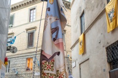 RBX_6704
