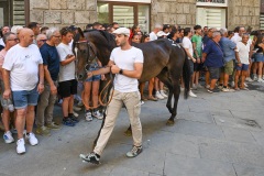 RBX_13-08-26_h13-08_0026-1800x1200