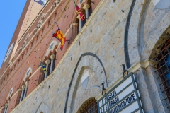DSC_3501