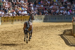 RBX_13-08-26_h09-37_0096-1800x1200