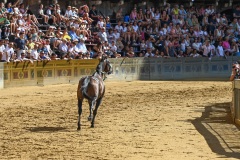 RBX_13-08-26_h09-37_0097-1800x1200