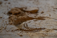 RBX_13-08-26_h09-39_0103-1800x1200