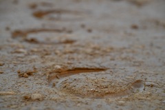 RBX_13-08-26_h09-40_0104-1800x1200
