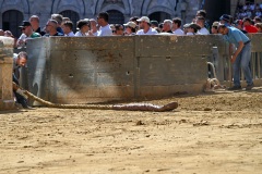 RBX_13-08-26_h10-13_0140-1800x1200