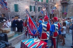 pantera battesimo contradaiolo 29 agosto 2015 (3)