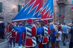 pantera battesimo contradaiolo 29 agosto 2015 (4)