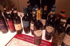 vini della berardenga (2)