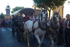 corteo della vittoria palio 2 luglio 2015 torre (62)