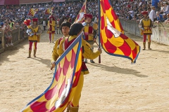 IMG_20230705_021255