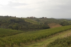 vigneti rocca di castagnoli