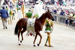 giorno del palio (60)