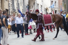 giorno del palio (84)