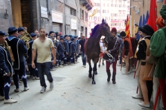 giorno del palio (47)