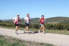 ecomaratona del chianti 2017 lungo il percorso (186)