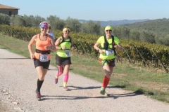 ecomaratona del chianti 2017 lungo il percorso (199)