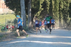 ecomaratona del chianti 2017 partenza dal castello di brolio (13)