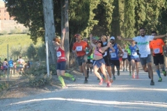 ecomaratona del chianti 2017 partenza dal castello di brolio (16)