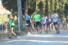 ecomaratona del chianti 2017 partenza dal castello di brolio (18)