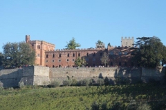 ecomaratona del chianti 2017 partenza dal castello di brolio (4)