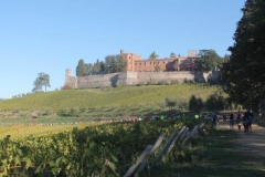 ecomaratona del chianti 2017 partenza dal castello di brolio (59)