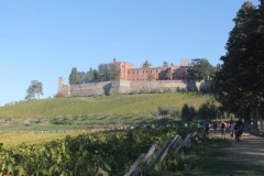ecomaratona del chianti 2017 partenza dal castello di brolio (60)
