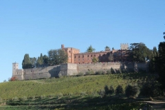 ecomaratona del chianti 2017 partenza dal castello di brolio (7)