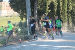 ecomaratona del chianti 2017 partenza dal castello di brolio (9)