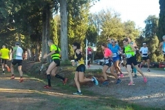 ecomaratona del chianti partenza dal castello di brolio 16 ottobre 2016 (11)