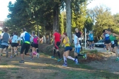 ecomaratona del chianti partenza dal castello di brolio 16 ottobre 2016 (12)