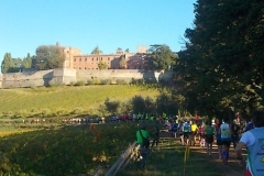 ecomaratona del chianti partenza dal castello di brolio 16 ottobre 2016 (13)