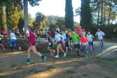 ecomaratona del chianti partenza dal castello di brolio 16 ottobre 2016 (15)