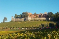 ecomaratona del chianti partenza dal castello di brolio 16 ottobre 2016 (19)