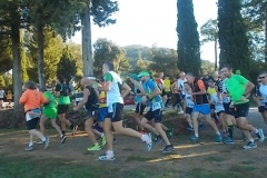 ecomaratona del chianti partenza dal castello di brolio 16 ottobre 2016 (20)