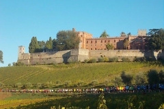 ecomaratona del chianti partenza dal castello di brolio 16 ottobre 2016 (23)